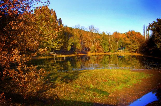 Алые паруса (Тольятти) - телефон и адрес, отзывы и фотогалерея на Zauna.ru