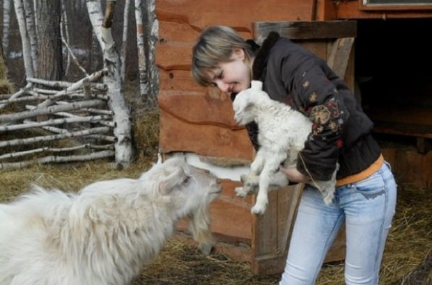 Русские бани (Красноярск) - отзывы посетителей и рейтинги в каталоге саун Zauna.ru